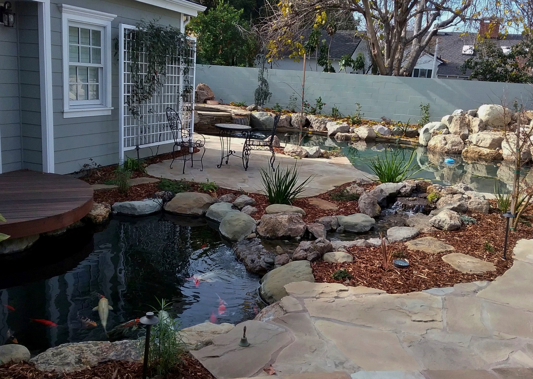 Backyard koi pond and water feature with natural boulders, patio and planting